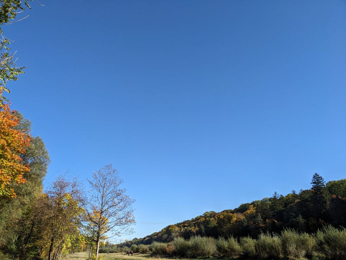 Wochenteiler:
Heute praktisch kein Flugverkehr über dem Isartal, deshalb keine #Chemtrails. 
Das schmutzige #GeoEngineering bekommt lt. Flugradar heute Regensburg ab.
Nur ein paar nette #HAARP-Wolken, so wie wir sie von früher kennen🤡.
Aber das sind nur Verschwörungstheorien!