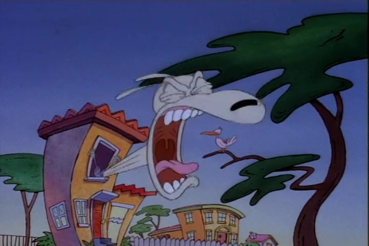 Rocko Screens tweet media