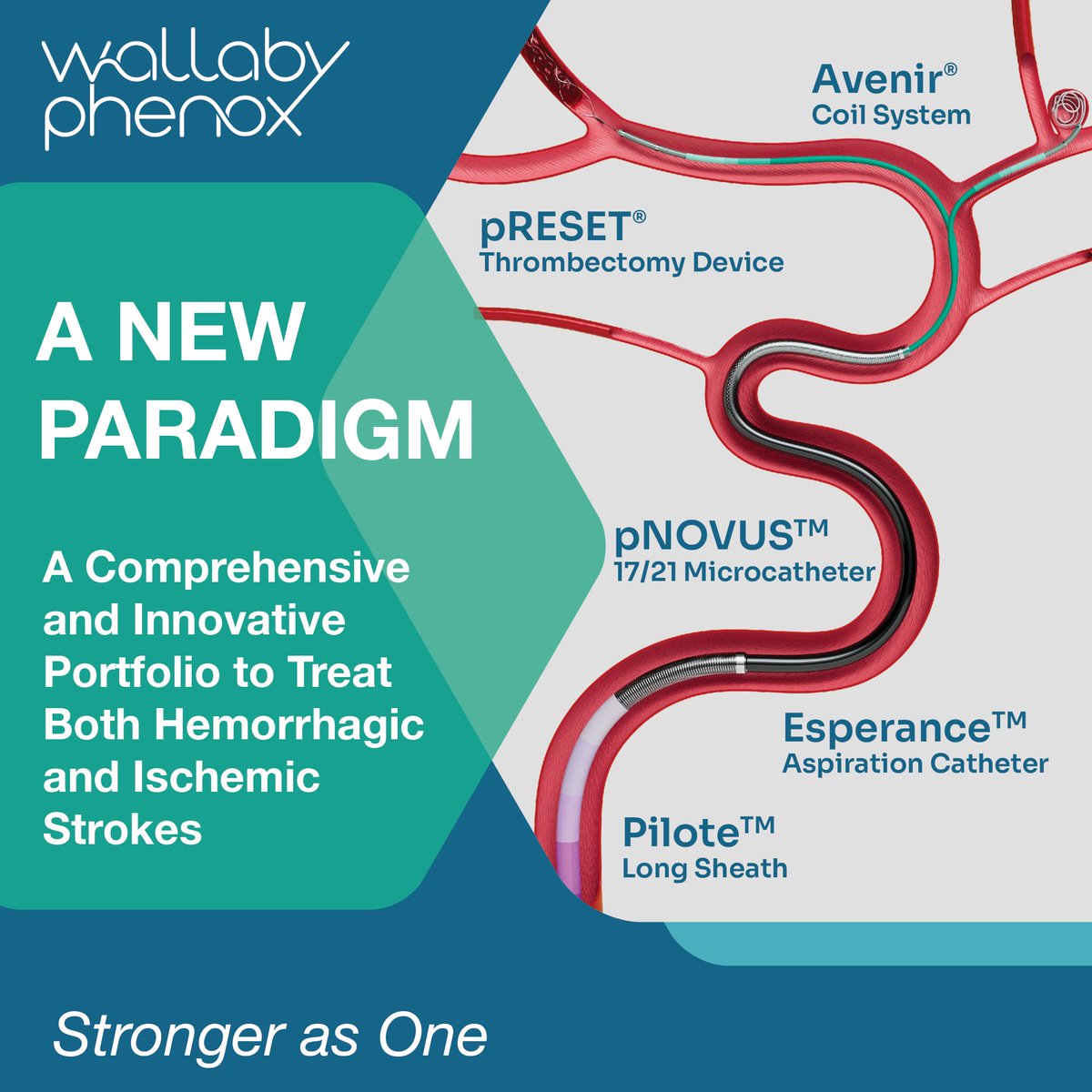 6 FDA clearances in the last 12 months has transformed WallabyPhenox's portfolio in the US!

Think of about stroke treatment differently
#ANewParadigm #WallabyPhenox #StrongerAsOne #Stroke #InterventionalNeurology