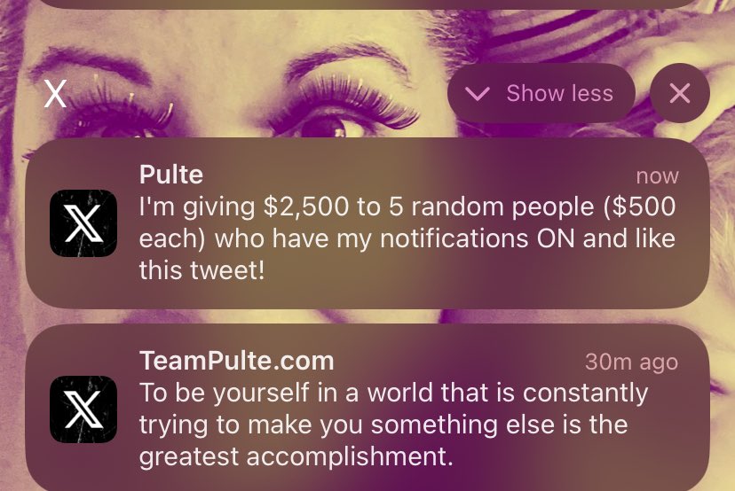 Mizzsu's tweet photo. @pulte Notifications always on $Mizzsu https://t.co/rSlMp8TTq3
