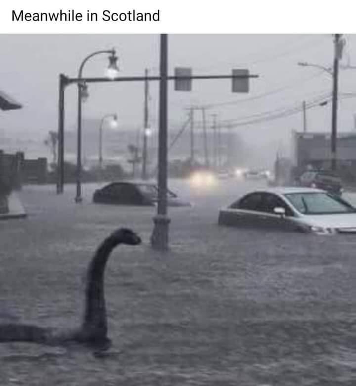 Tony Walker tweet media