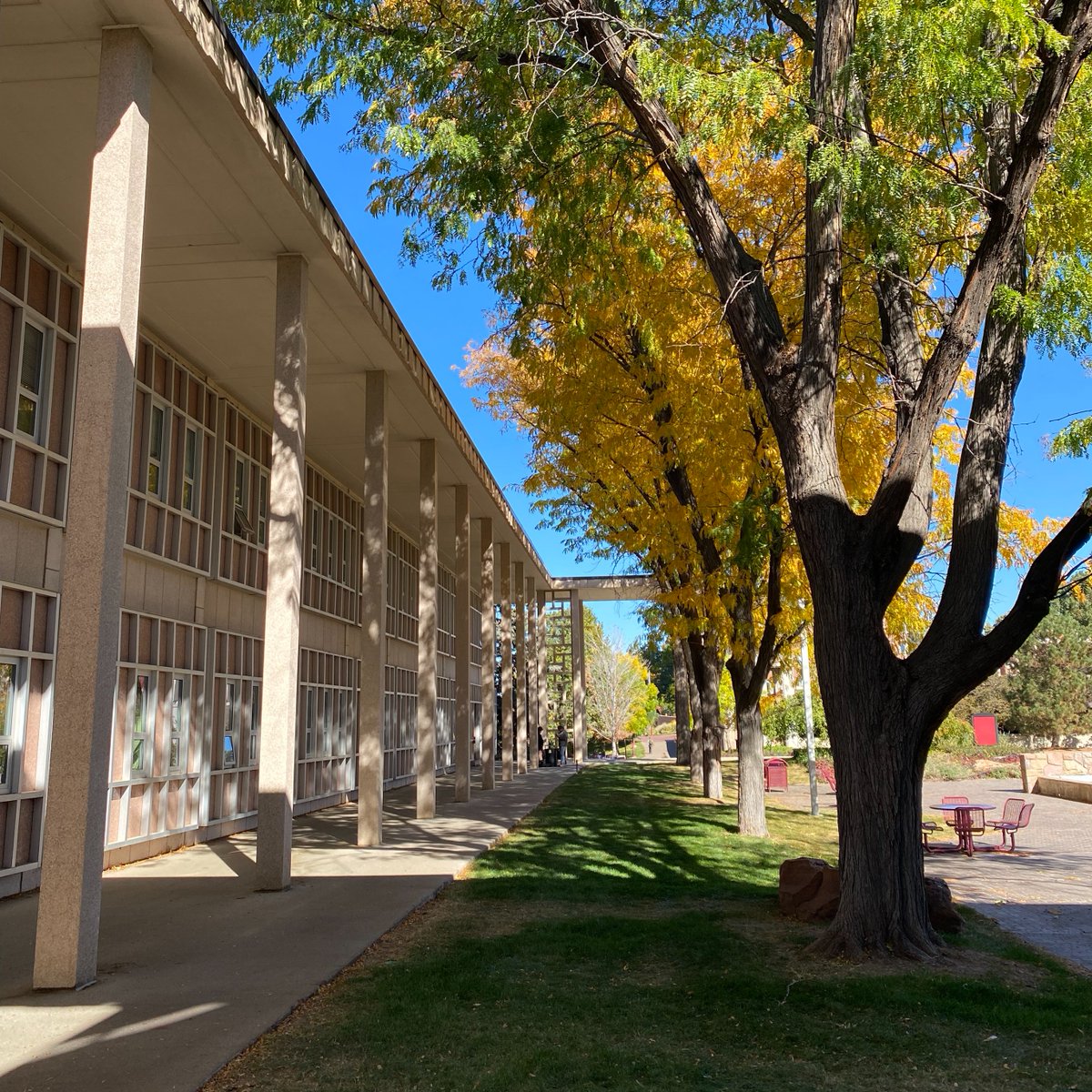 University of Denver tweet media