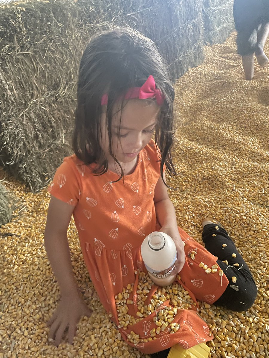 SallyRolf's tweet photo. Rain or Shine @ToppingBulldogs know how to have a good time at @CarolynsPatch! The corn pit was the perfect way to stay dry! https://t.co/G4AUFTUEBL