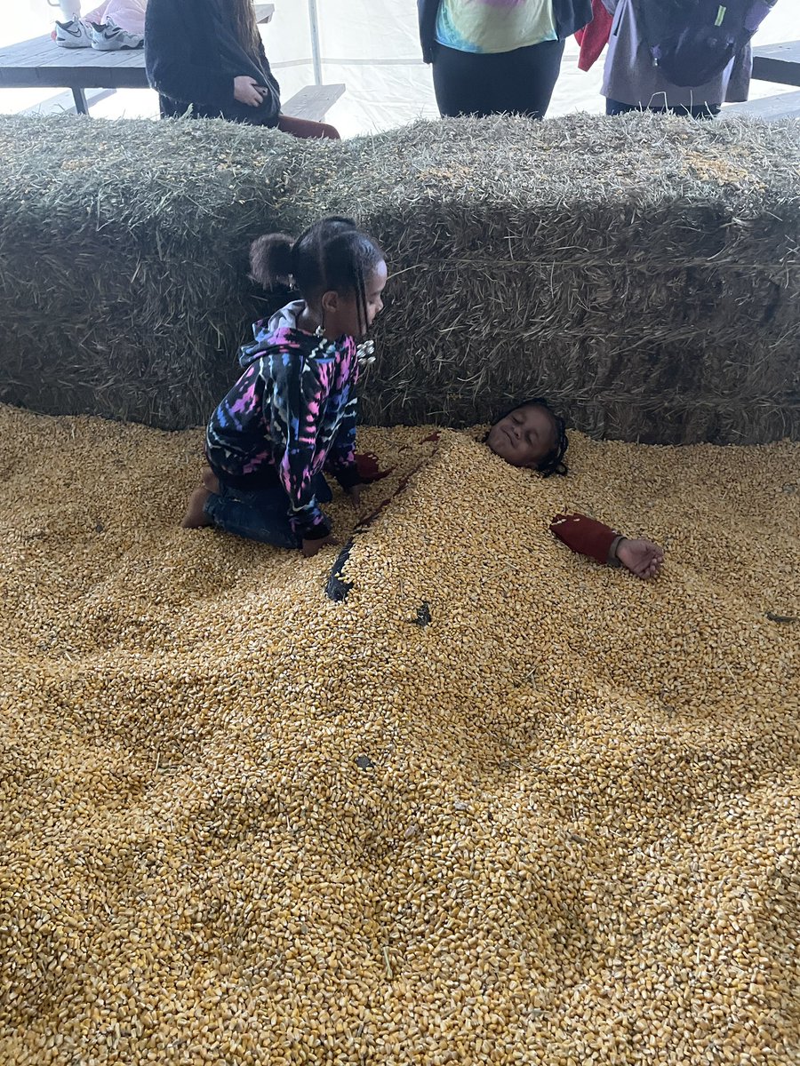 Rain or Shine <a href="/ToppingBulldogs/">Topping Elementary</a> know how to have a good time at <a href="/CarolynsPatch/">Carolyn's Pumpkin Patch</a>! The corn pit was the perfect way to stay dry!