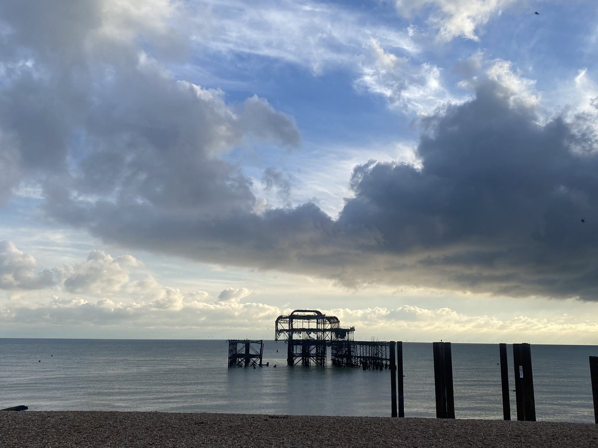 Penny 👩🏻🦰🦩 tweet media