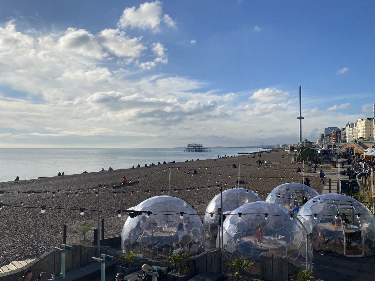 Penny 👩🏻🦰🦩 tweet media