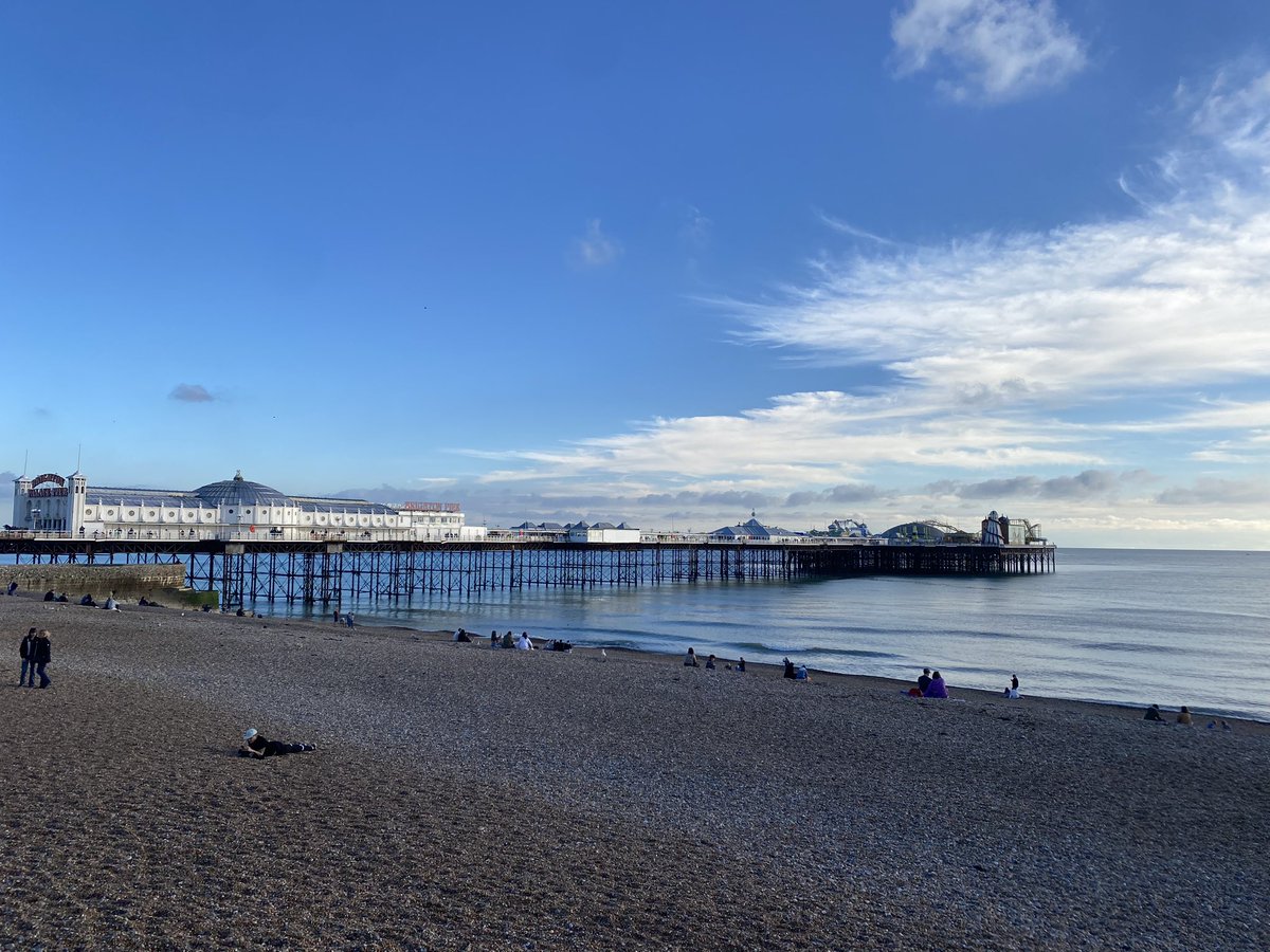 Penny 👩🏻🦰🦩 tweet media