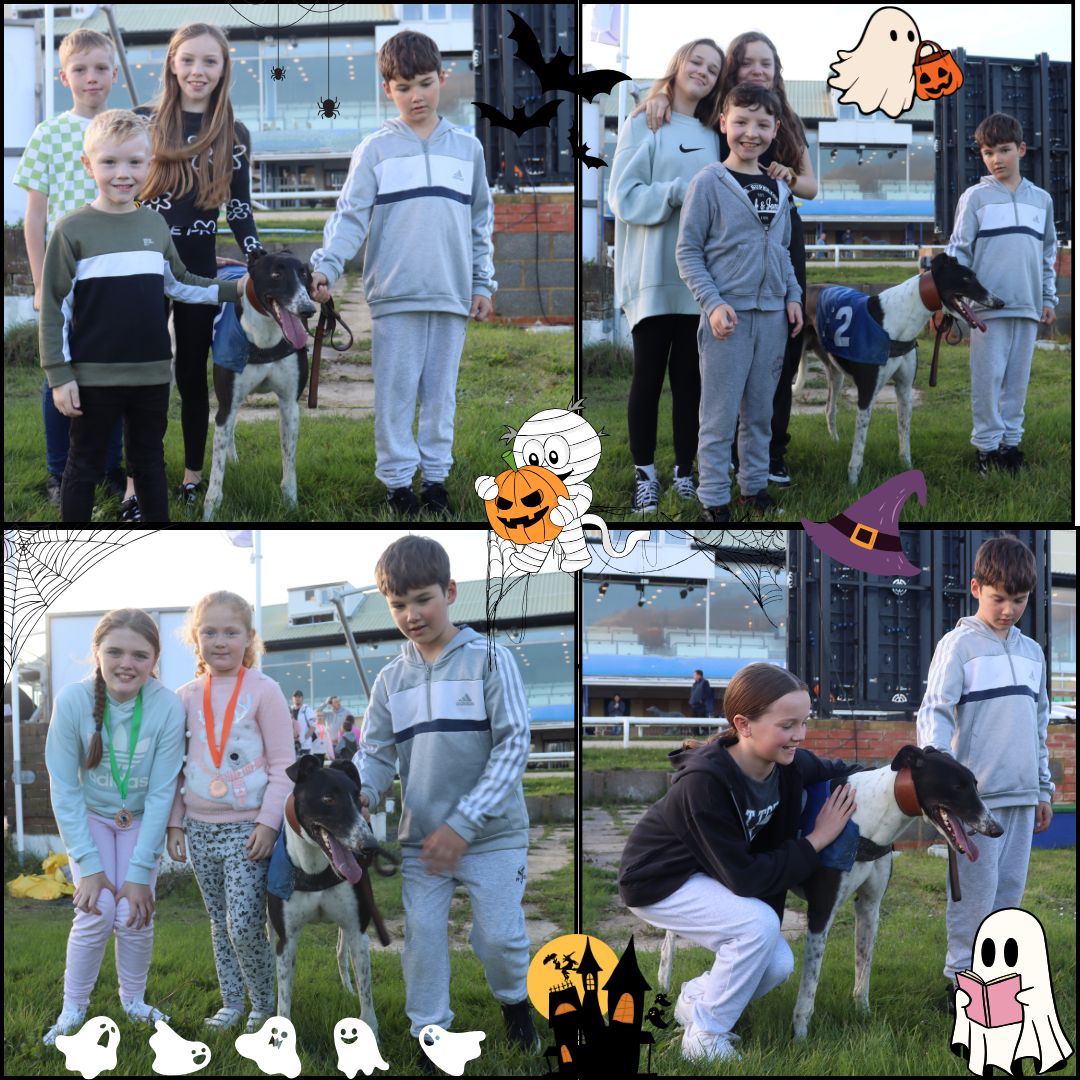 HoveGreyhounds's tweet photo. Our Meet & Greet today was an absolute success! Children and adult giving cuddles to the lovely Laughil Ollie is so much fun and shows how #greyhoundsmakegreatpets #schoolholiday #childrenactivity https://t.co/5lR1oqnGh8