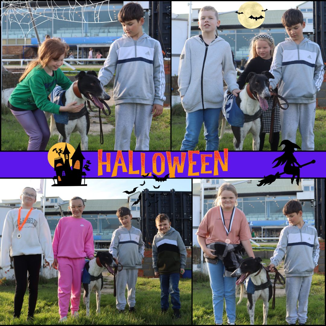 HoveGreyhounds's tweet photo. Our Meet & Greet today was an absolute success! Children and adult giving cuddles to the lovely Laughil Ollie is so much fun and shows how #greyhoundsmakegreatpets #schoolholiday #childrenactivity https://t.co/5lR1oqnGh8