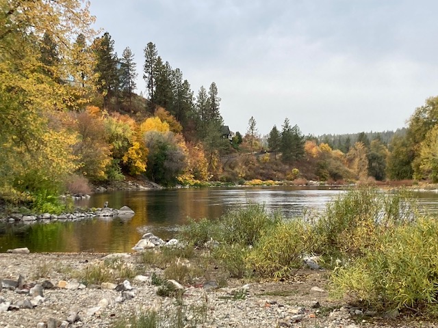 #StetWalk Spokane River