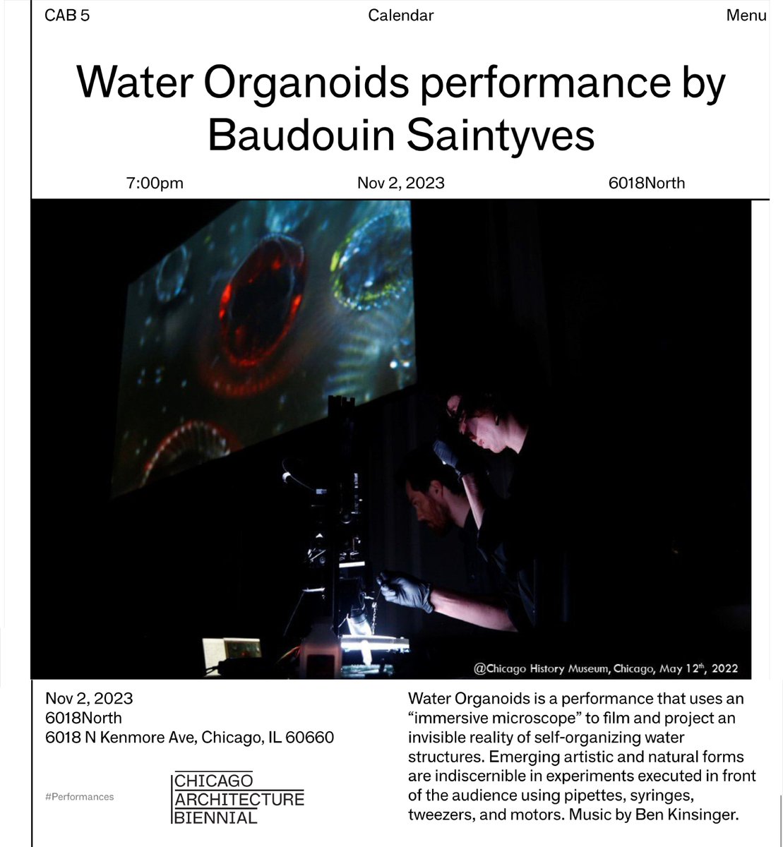 Baudouin Saintyves tweet media