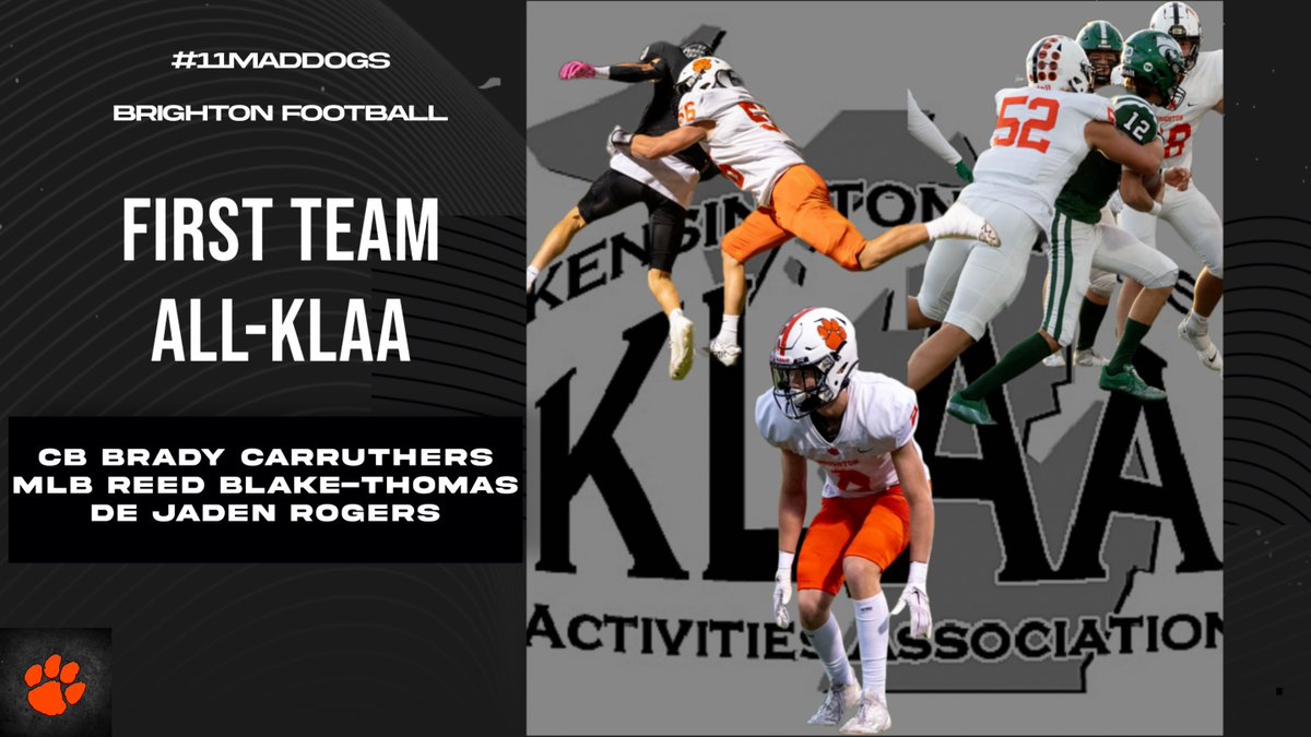 Brighton Football (@godogs_football) on Twitter photo 