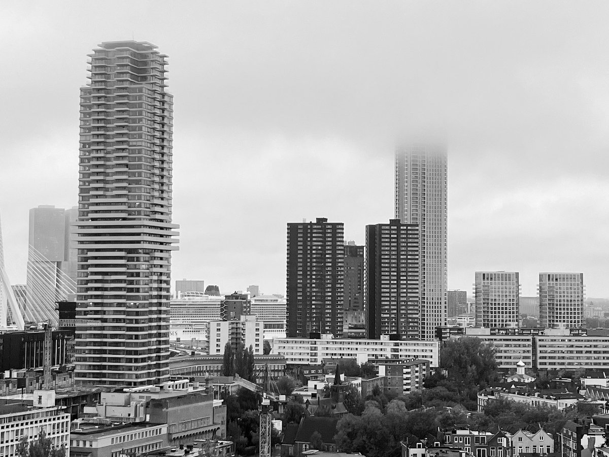 De Zalmhaven (@dezalmhaven) on Twitter photo 