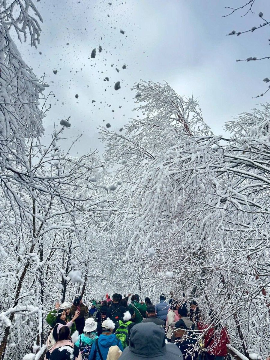 cyper_21's tweet photo. https://t.co/nUg4oT3VOw