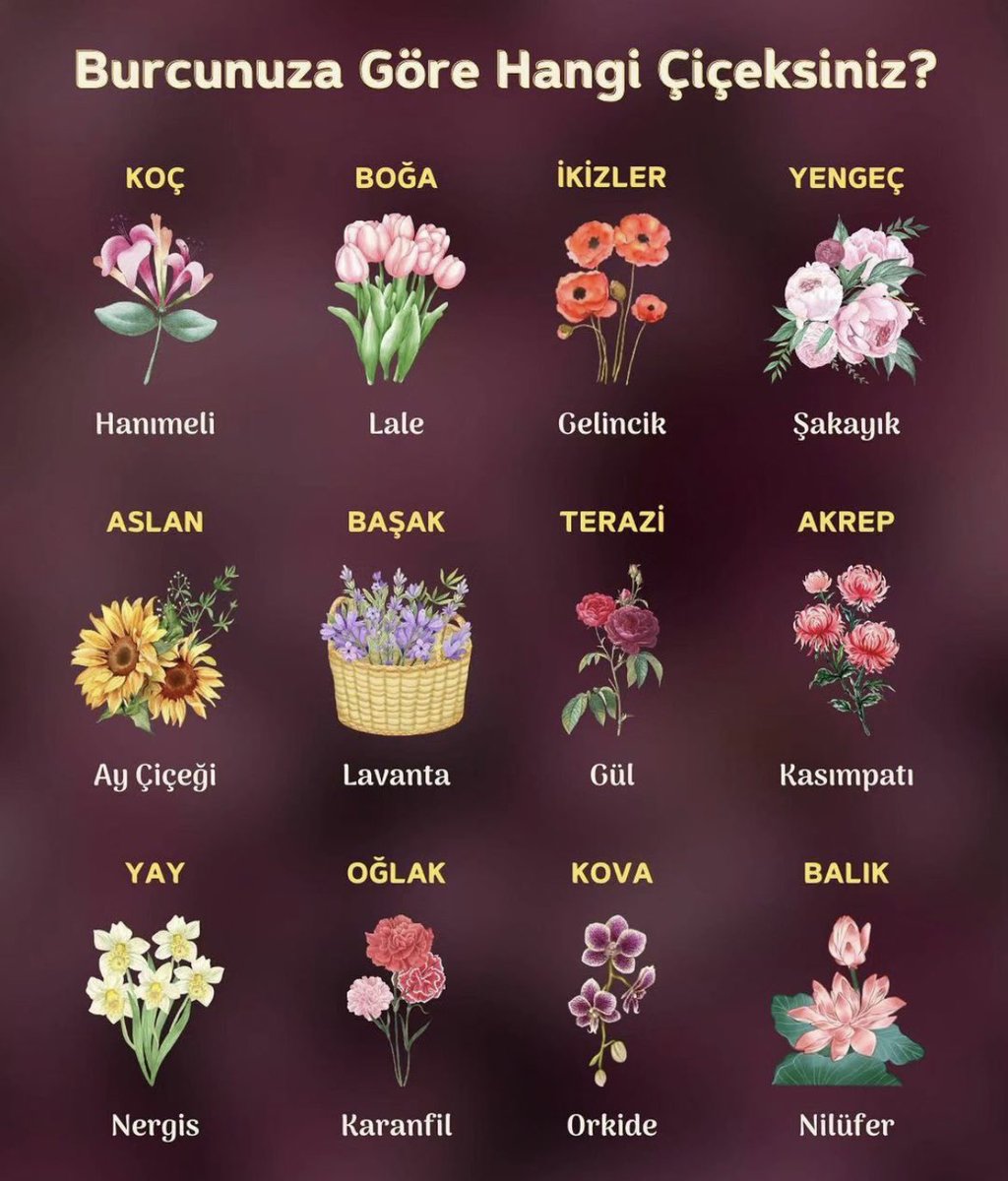Burcunuza göre hangi çiçeksiniz? 🌸
Herkes yoruma 🍃
#burc #burcgündem
