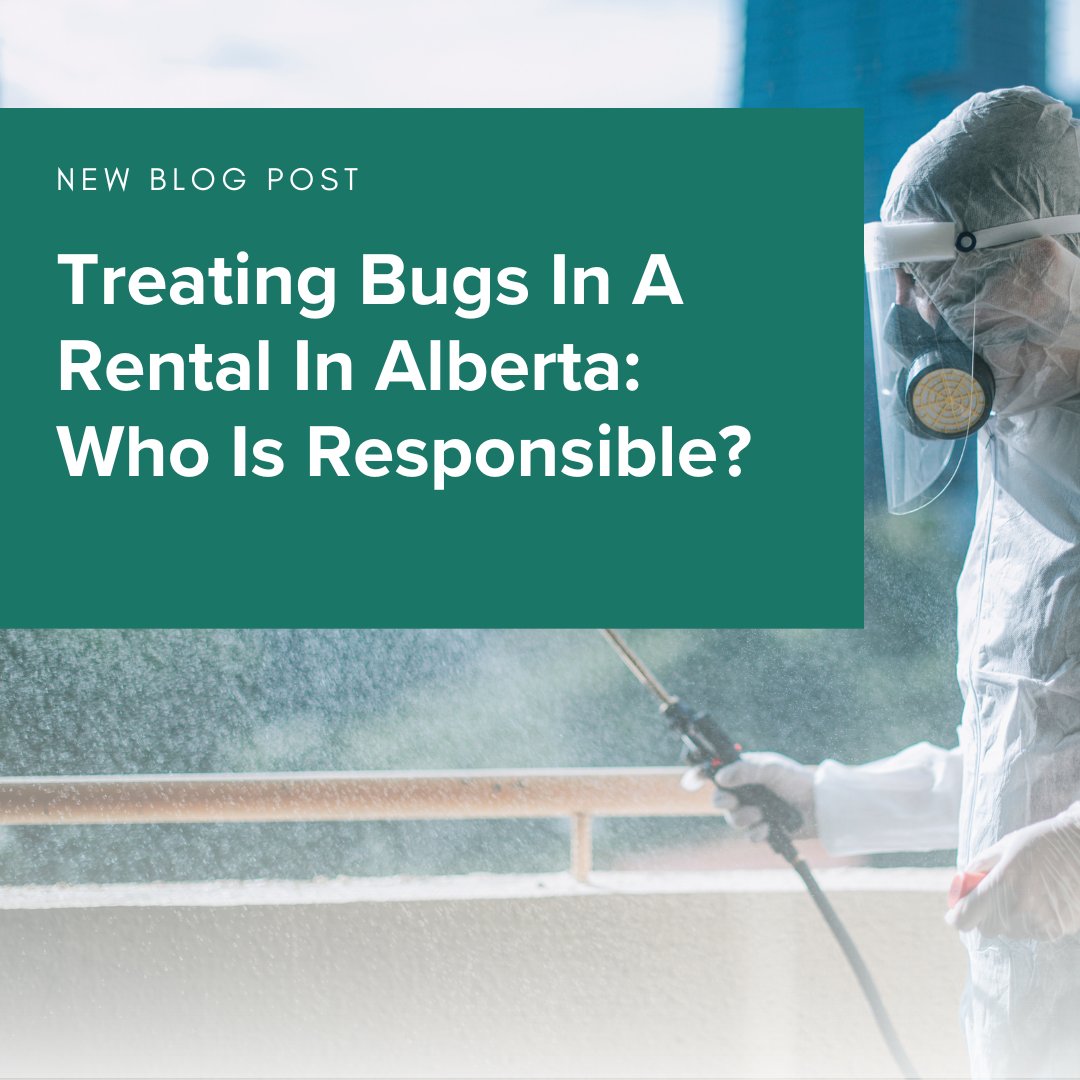 RentFaster's tweet image. Are you a landlord or tenant in Alberta dealing with some unwanted guests?

Read our guide on bug control responsibilities in Alberta and make sure you have no creepy crawlies this Halloween. 🕷️

Read here: bit.ly/3MftHLo

#Rentfaster #Renting #Rent #RentingCanada