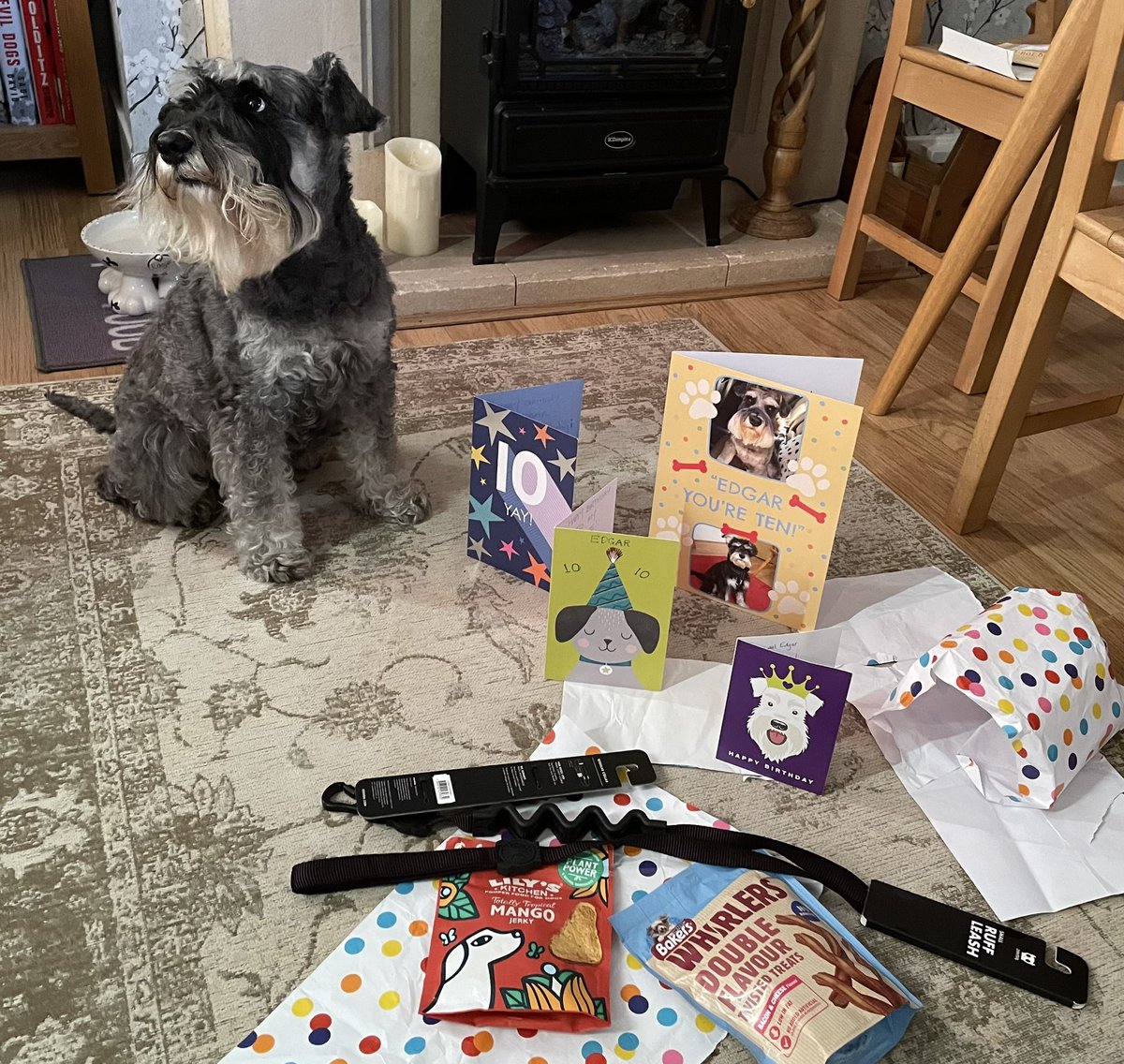 reesipops's tweet photo. Hey  #SchnauzerGang Iz me woofday today and I be 10! Hoomum can’t believe it! I got treats and cards (fanks @Iam_Sherlock1 me palz😘), salmon for me dins and a new @equafleece arriving tomorrows! Spoilt eh! #dog #schnauzer #dogs #minischnauzer #miniatureschnauzer #birthday https://t.co/fJzhAEF41g