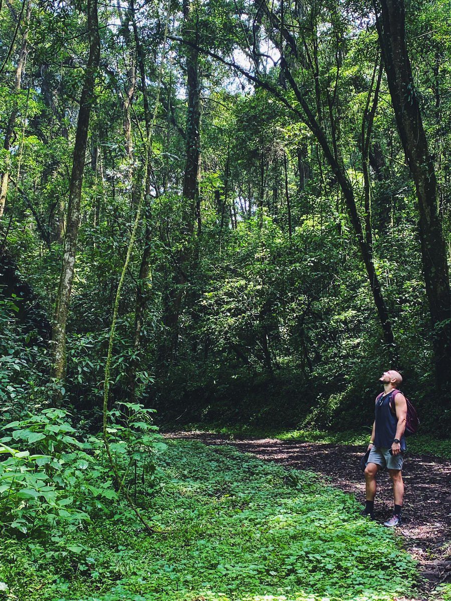 EdgeOfKnown's tweet photo. Nature.

She’ll rarely give you what you want, she’ll always give you what you need. https://t.co/RHw8NoULO5