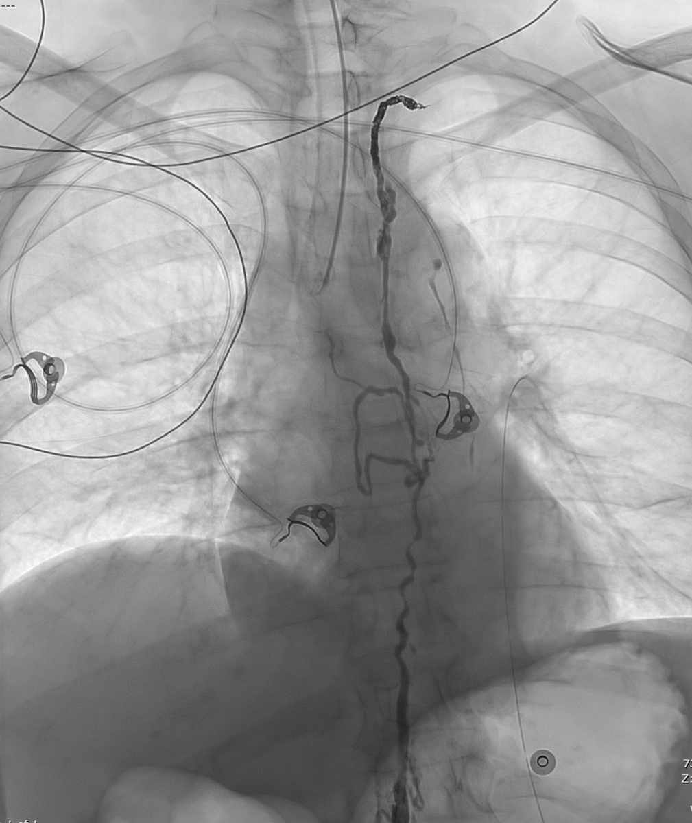 University of Arizona VIR tweet media
