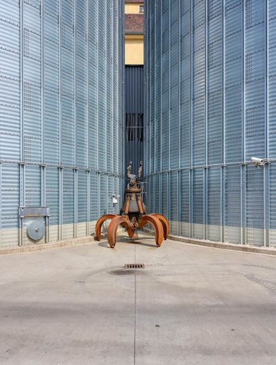 Sertan Satan tweet media