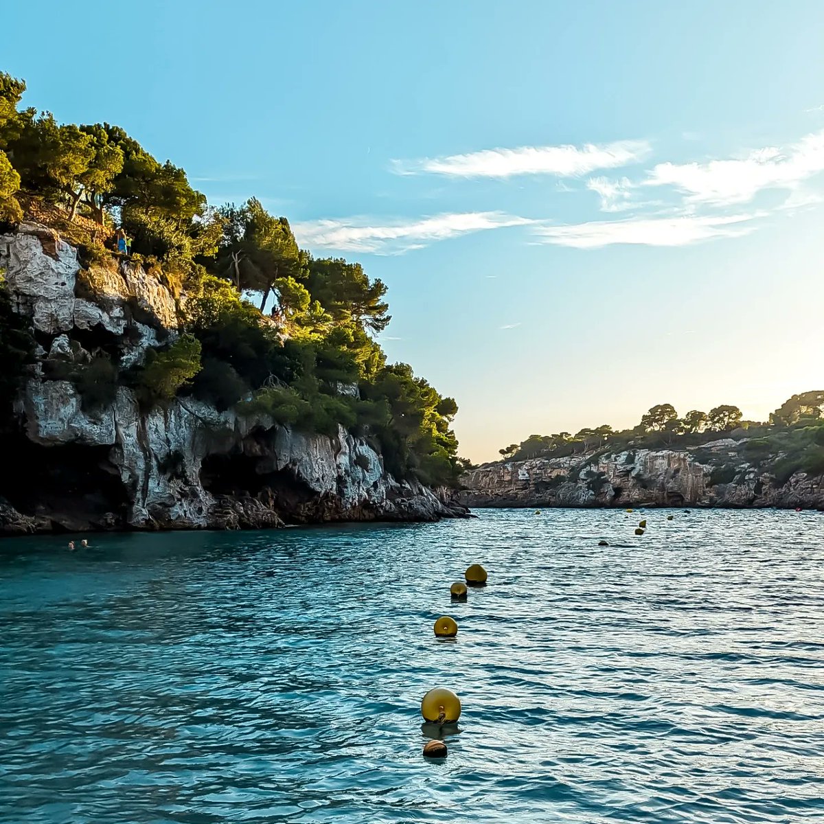 JezaWright's tweet photo. 🏝️ Anécdota de #Mallorca: En esta cala (#CalaPi) tuvimos que investigar que tipo de pez le picó a mi amiga @fannyir15 🤣. Descubrimos que había un pez por esas aguas que mordía sobre todo zonas con heridas. Vamos que le mordió en una costra que tenía 🤣. 
Salí corriendo. 🤣 https://t.co/KJVfy9OhOX