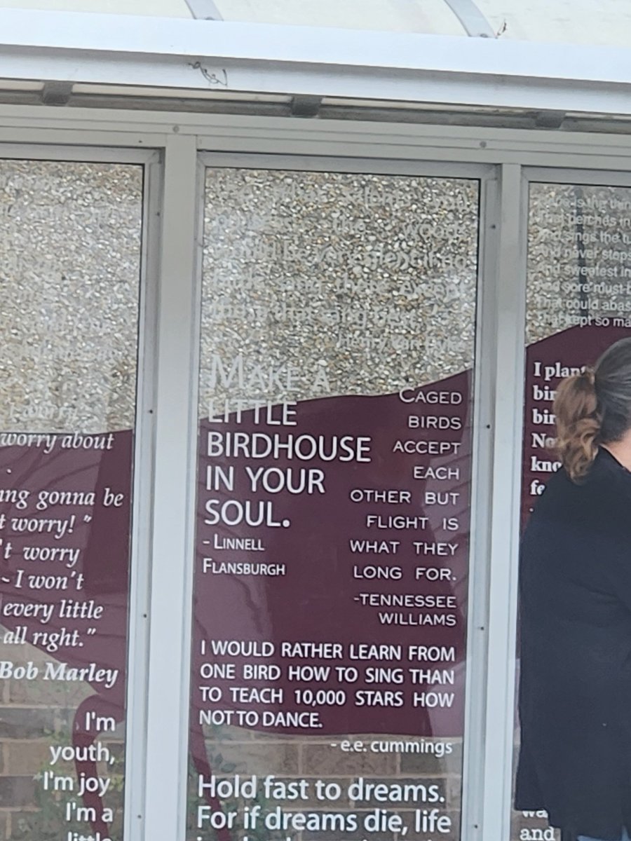 defendskapunk's tweet photo. shout out to this bus stop i drove by in birdtown https://t.co/DeXzsKYiNH