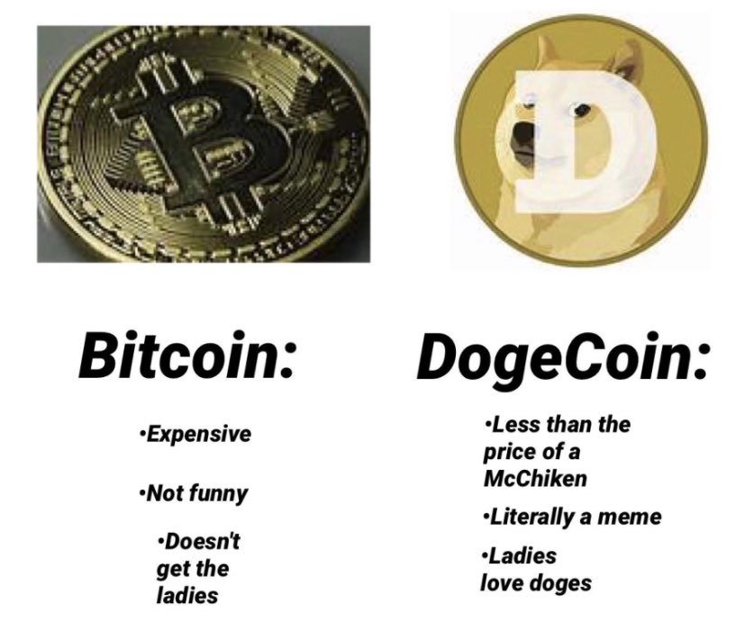 Sir Doge of the Coin ⚔️ (@dogeofficialceo) on Twitter photo 