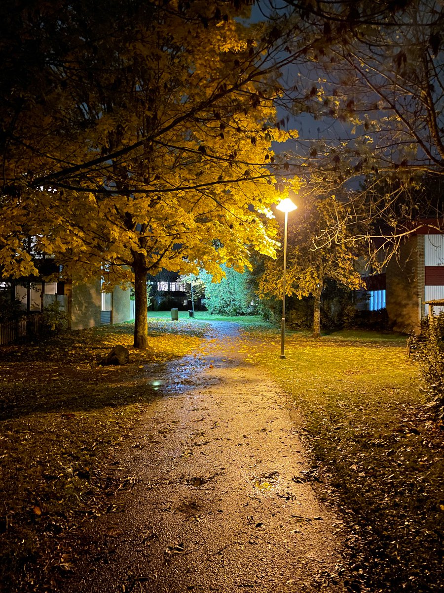 punjabiblinder's tweet photo. I went for a walk, the night was misty and dark.
Freezing temperature, immovable hands, stiff cheeks, slippery pavements, and what kept me walking was a replay of some good memories.
And on way back I stopped at the flower shop.
Monday October 23, 2023
#junkets ~pb✍🏼 https://t.co/BDijVkviJl