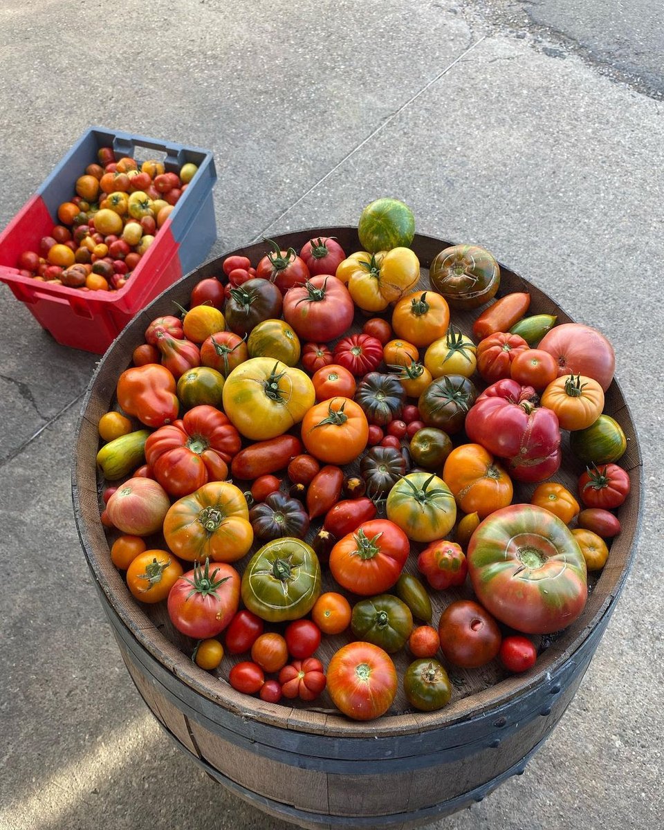 PMspirits's tweet photo. 🍅 You don't earn the title of King of Artisanal Eau de Vie in France without reason. Meet Laurent Cazottes—he bottles absolute magic! #pmspirits #drinklessdrinkbetter #Cazottes #Tomato #Liqueur https://t.co/DUor5eTFBc