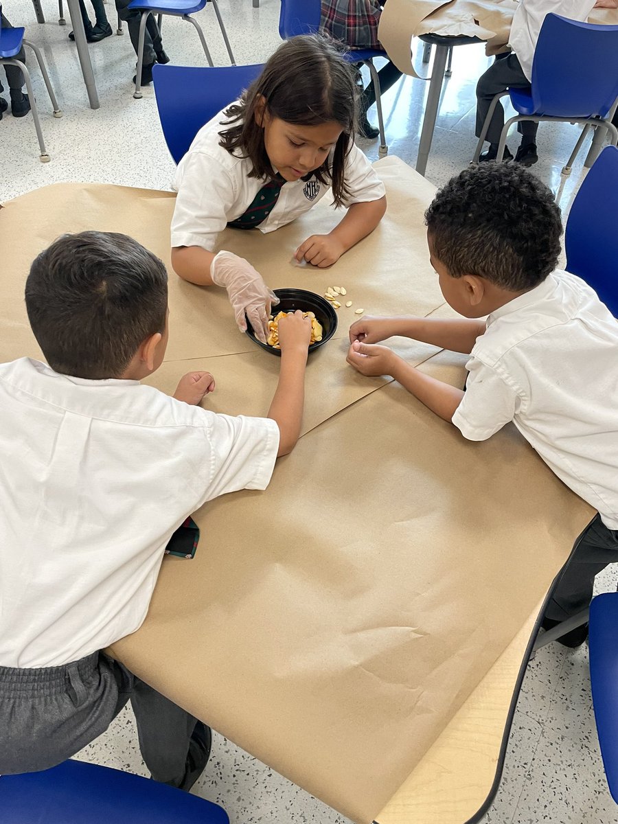 MissAPassi's tweet photo. We estimated, we sorted, and we counted! Great job grades 1 and 2! Day number 3 of your pumpkin inquiry is over- now for the fun part tomorrow! 🎃 @MHLondonOntario https://t.co/TjUS1xWghJ