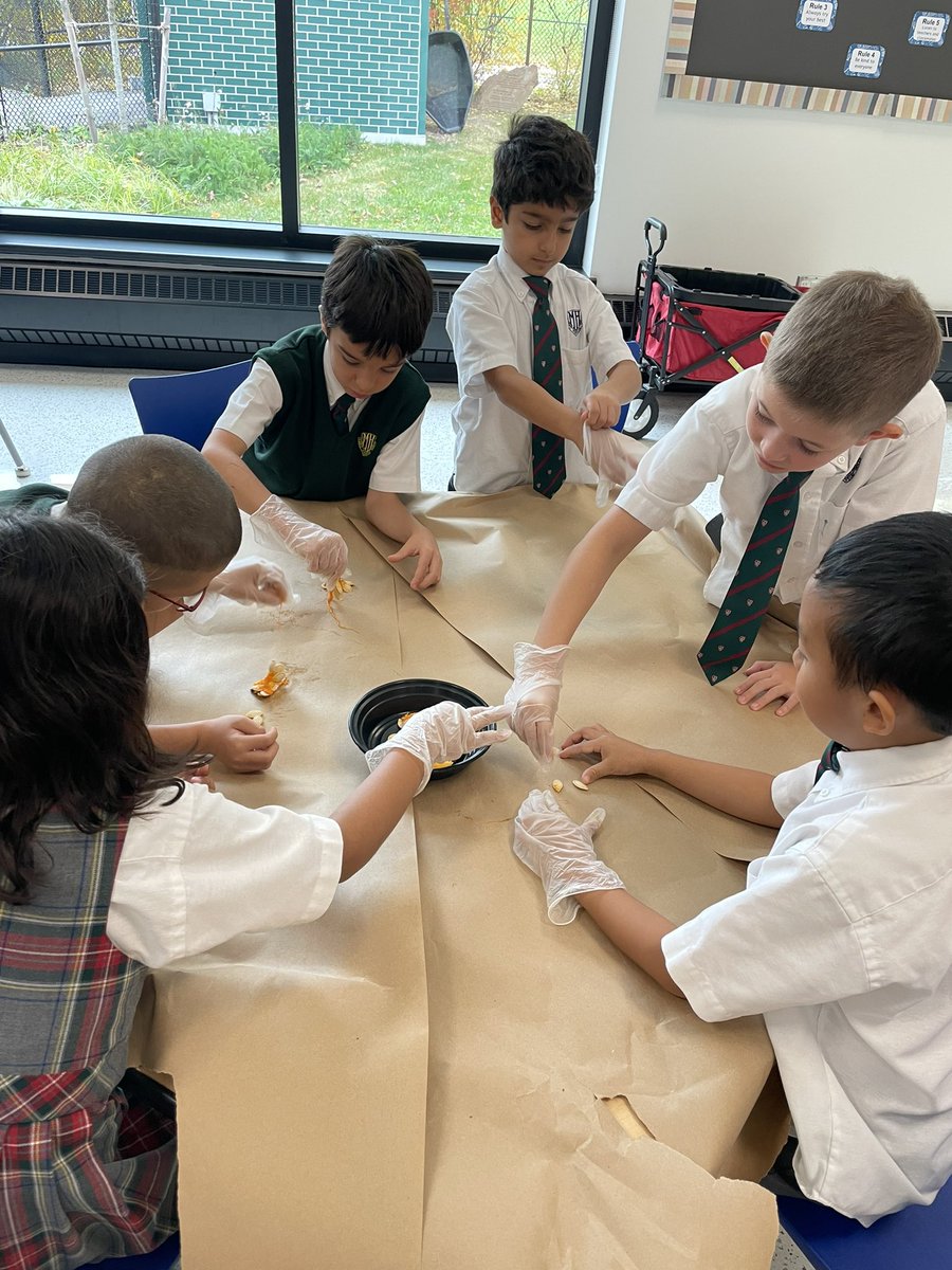 MissAPassi's tweet photo. We estimated, we sorted, and we counted! Great job grades 1 and 2! Day number 3 of your pumpkin inquiry is over- now for the fun part tomorrow! 🎃 @MHLondonOntario https://t.co/TjUS1xWghJ