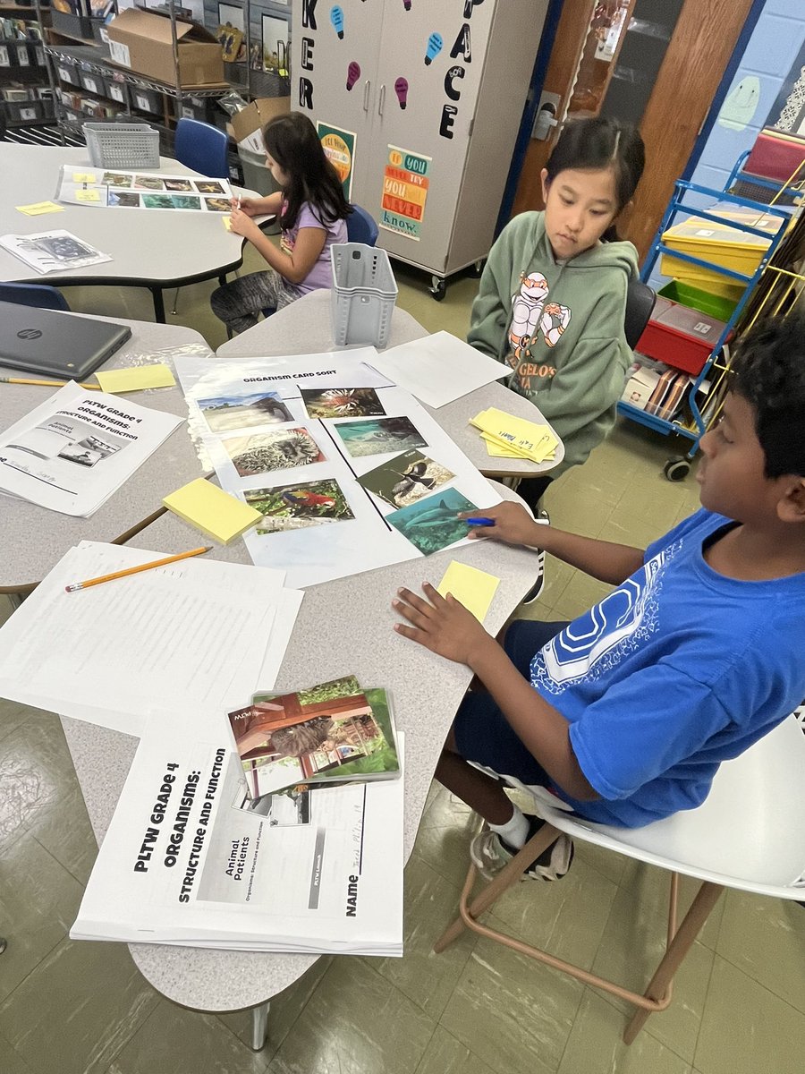 4th Grade Enrichment Gallery Walk! After students sorted plants/animals into different categories, students removed the headings and challenged their classmates to guess how the cards were sorted. #WeAreHerricks <a href="/SearingtownK5/">Searingtown School</a> <a href="/HerricksSchools/">Herricks Schools</a>