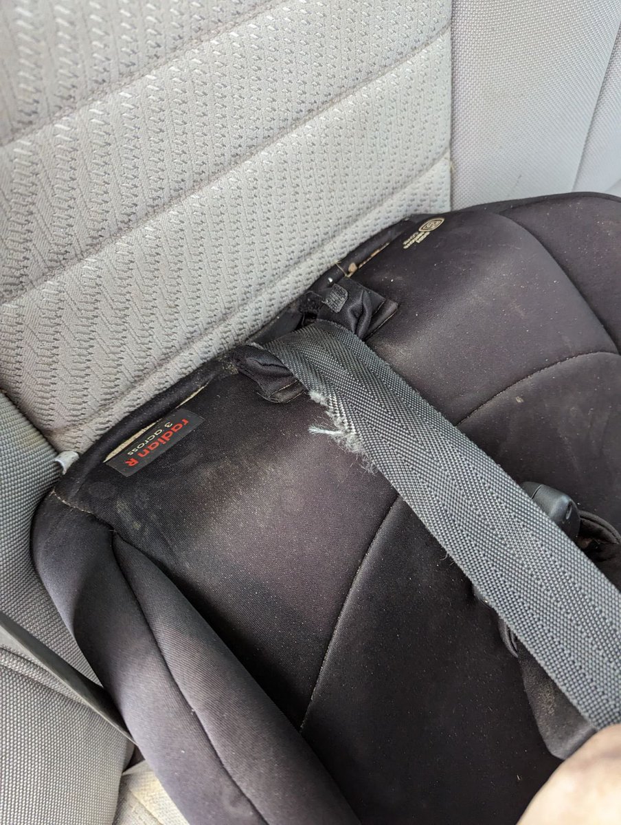 KaylaMae 🧜‍♀️ tweet media