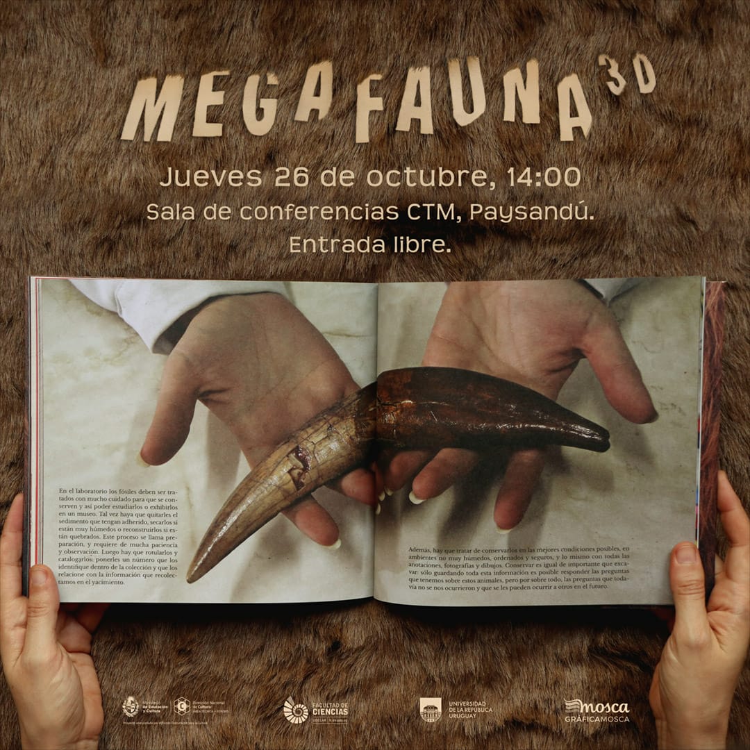 ¡Presentamos Megafauna 3D en Paysandú!

Megafauna 3D es un libro para descubrir a los grandes mamíferos que habitaron Uruguay y la región hace miles de años.

Sala de conferencias CTM, Paysandú
Zorrilla de San Martín esq. Sarandí
Jueves 26 de octubre, 14 hs.
Entrada libre