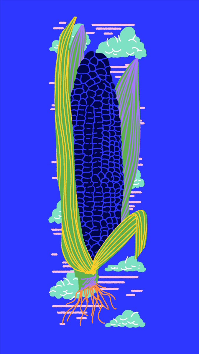 Mosaico MX tweet media