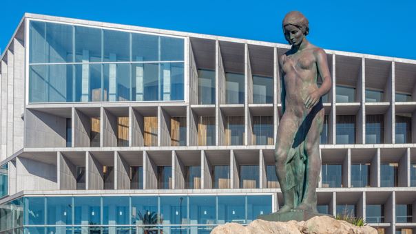 Matronas profesión tweet media