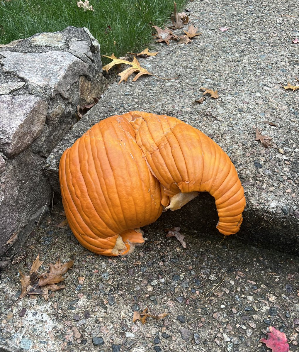 “Oh, the humanity!”