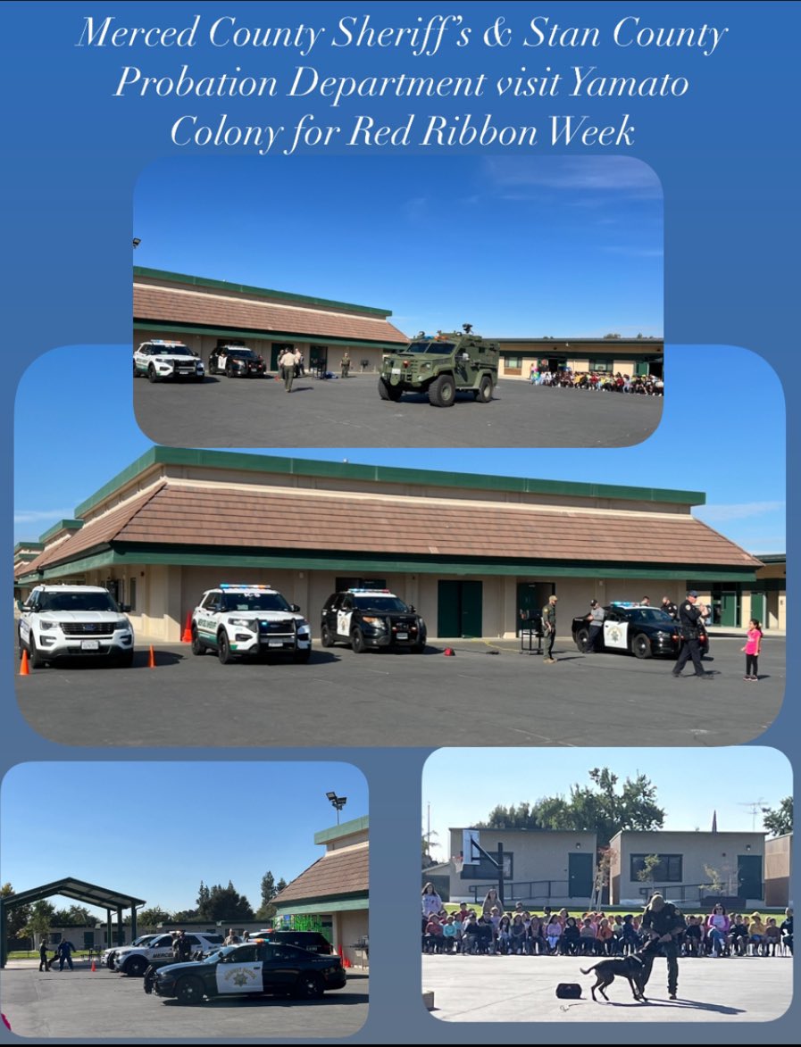 ycdragons (@ycdragons) on Twitter photo 