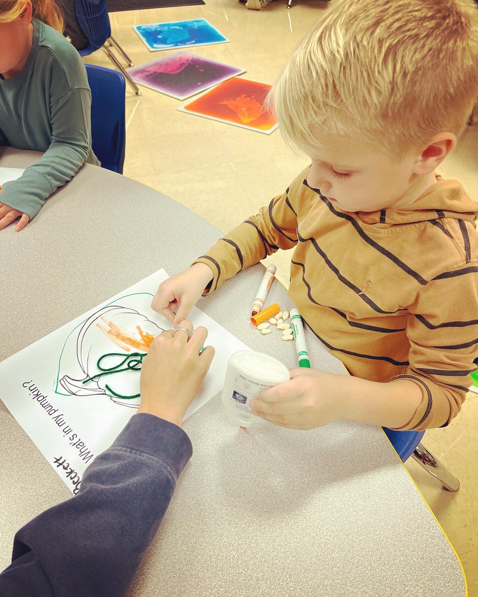 Sara Consdorf tweet media