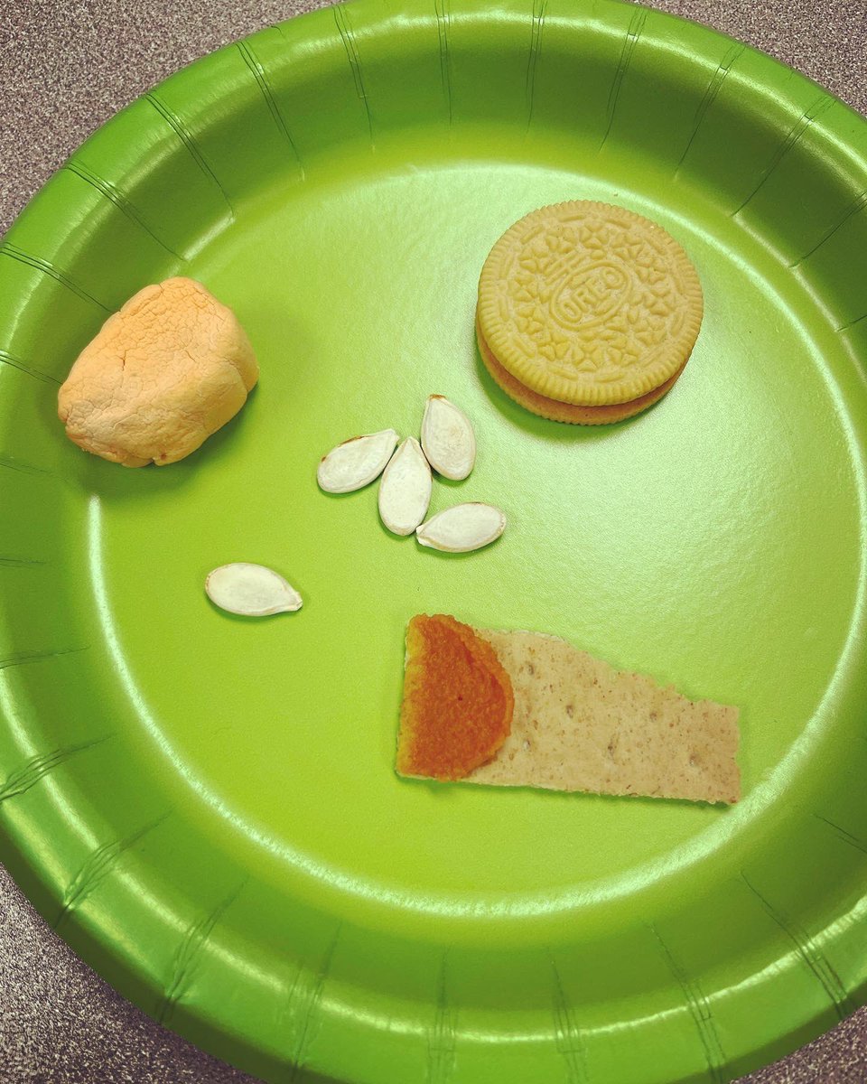 Sara Consdorf tweet media