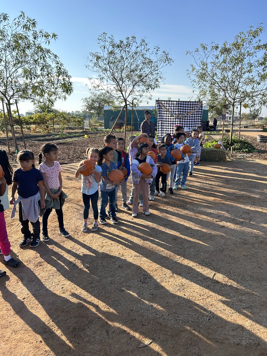 Dolores S. Whitley School tweet media