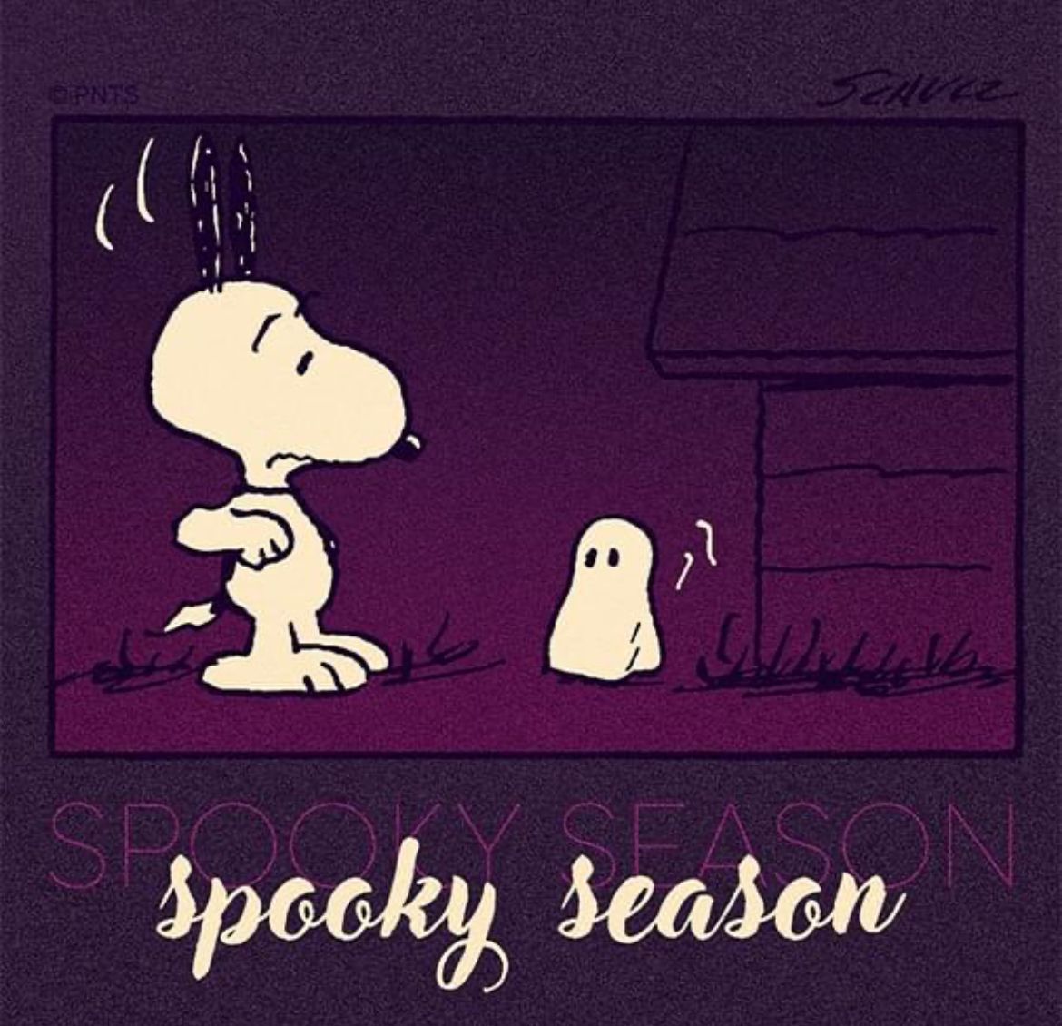Peanuts_4Fans's tweet photo. Boo! 👻 #Peanuts https://t.co/oc6ql7YrL4