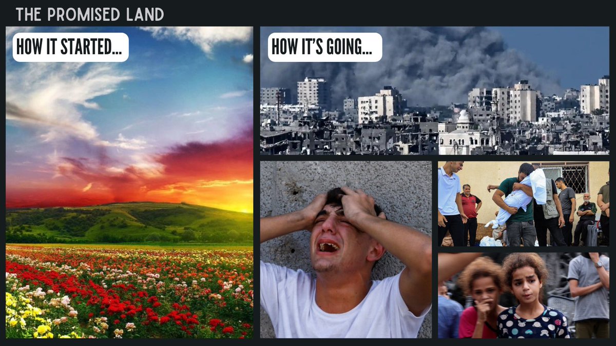 TomRed43's tweet image. More than 6,500 Palestinian people have been killed in Gaza since Hamas’s attack on Israel on 7 October. More than 2,000 of the dead are children. Dear world leaders (including @AlboMP), how many deaths will be enough? Asking for a friend.  

#StopTheBombs