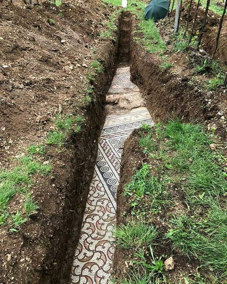 archeohistories's tweet photo. In 2020, a Roman Mosaic Floor (3rd Century AD) has been discovered under a vineyard in northern Italy, after decades of searching.

Surveyors in commune of Negrar di Valpolicella north of Verona published images of well-preserved tiles buried under metres of earth.

According to officials, scholars first found evidence of a Roman villa there more than a century ago. Team discovered tiles, as well as portions of villa’s foundation, “a few meters” below the vineyard’s surface.
Villa cover an area of 300 square metres. Technicians are still gently excavating the site to see full extent of ancient building.

© BBC

- Subscribe for Weekly Newsletter -
https://t.co/QSjn4yGpeh

#archaeohistories