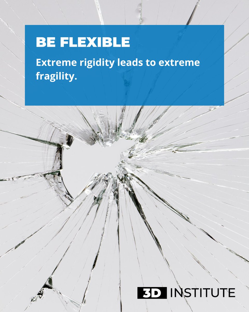 3D Coaches tweet media