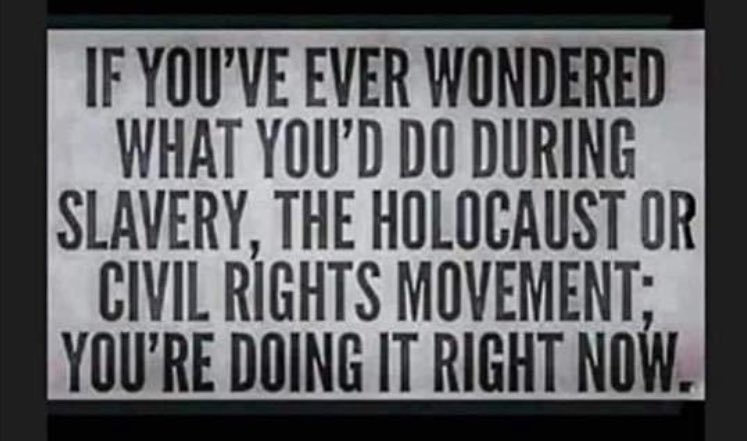 tkmdonnelly's tweet image. 