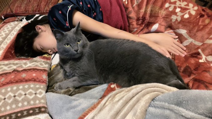 Twitterのコスプレ画像34