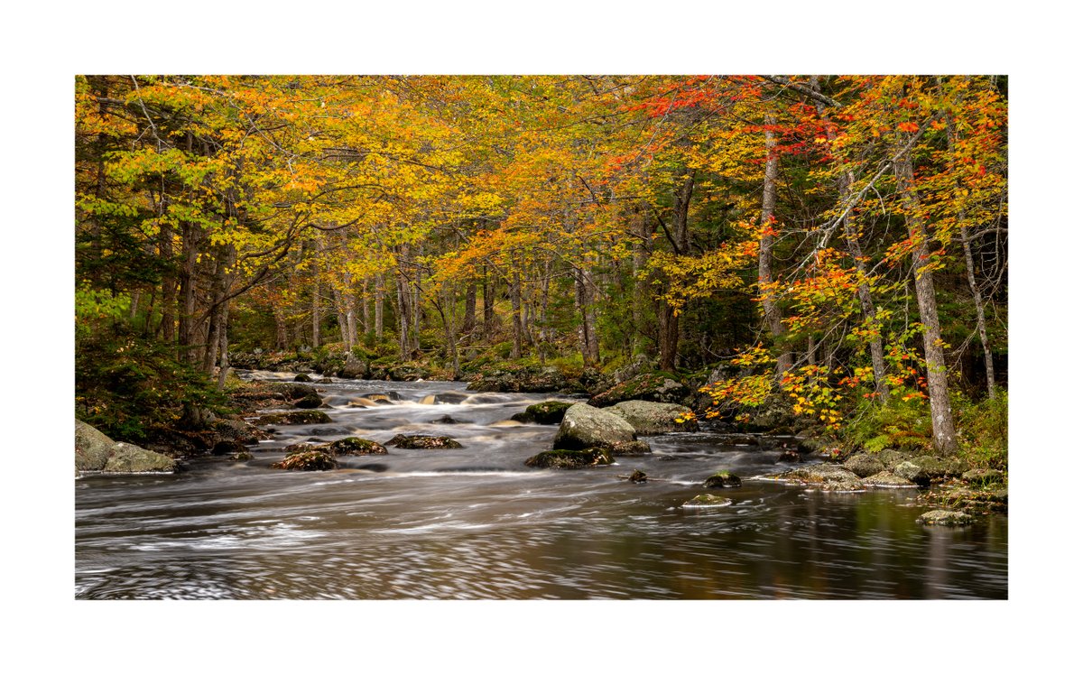 'A River Runs Through It'-I didn't think this shot was going to amount to much. I stopped at a small park on my way to shoot some fall color's at Kejimkujik and took this image just to get one in the bag. I'm pleasantly pleased with how it turned out.  #annapolisvalley