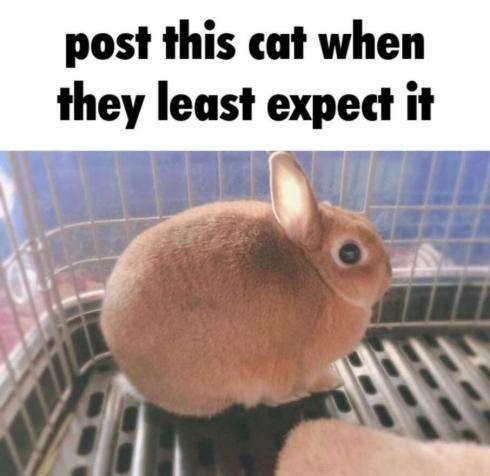 Bug9519's tweet photo. @HumansNoContext https://t.co/ZPbs8yuVjE