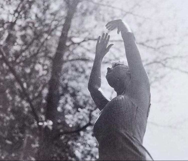 sj ✪ 🦭 tweet media